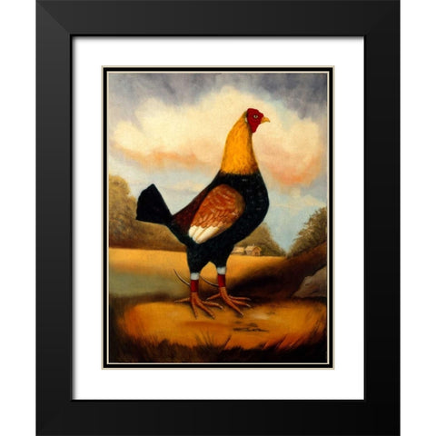 Second Fighting Cock Black Modern Wood Framed Art Print with Double Matting by Churchill, Alexandra
