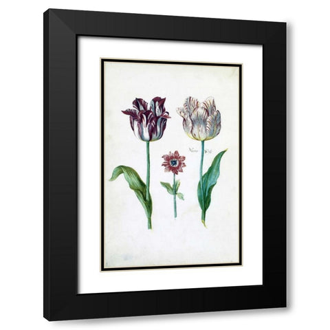 Tulips Black Modern Wood Framed Art Print with Double Matting by De Bray, Dirck