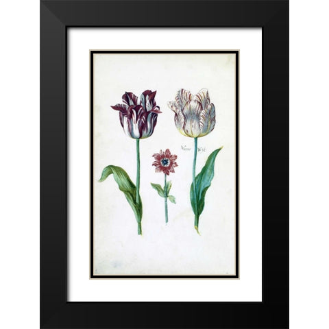 Tulips Black Modern Wood Framed Art Print with Double Matting by De Bray, Dirck