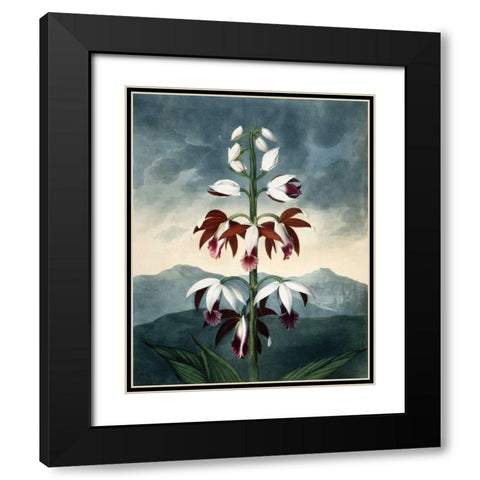 China Limaderen Black Modern Wood Framed Art Print with Double Matting by Michaux, Francois A.