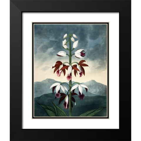 China Limaderen Black Modern Wood Framed Art Print with Double Matting by Michaux, Francois A.
