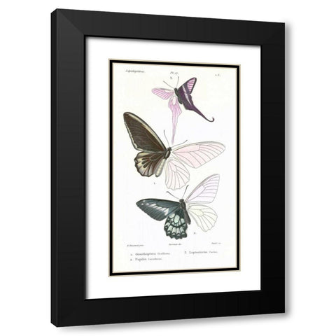 Butterflies, Plate 17 Black Modern Wood Framed Art Print with Double Matting by Blanchard, Emile