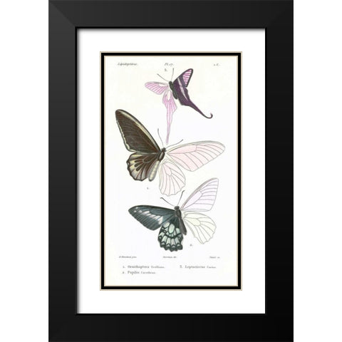 Butterflies, Plate 17 Black Modern Wood Framed Art Print with Double Matting by Blanchard, Emile