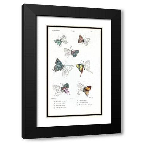 Buterflies, Plate 22 Black Modern Wood Framed Art Print with Double Matting by Blanchard, Emile