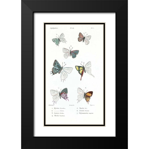 Buterflies, Plate 22 Black Modern Wood Framed Art Print with Double Matting by Blanchard, Emile