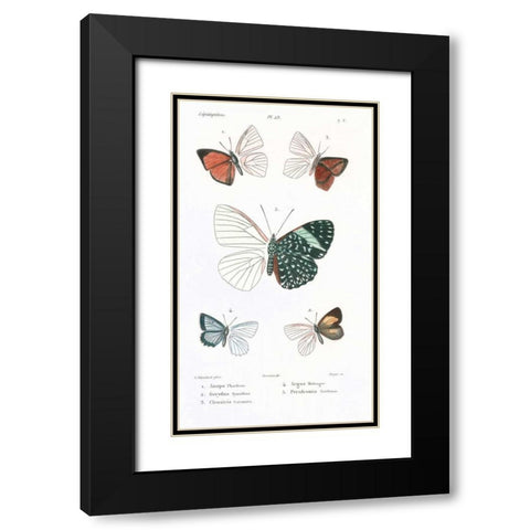 Butterflies, Plate 23 Black Modern Wood Framed Art Print with Double Matting by Blanchard, Emile