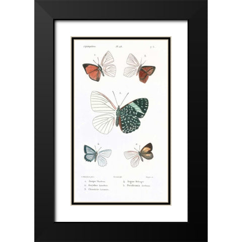 Butterflies, Plate 23 Black Modern Wood Framed Art Print with Double Matting by Blanchard, Emile
