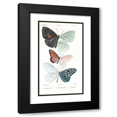 Butterflies, Plate 24 Black Modern Wood Framed Art Print with Double Matting by Blanchard, Emile
