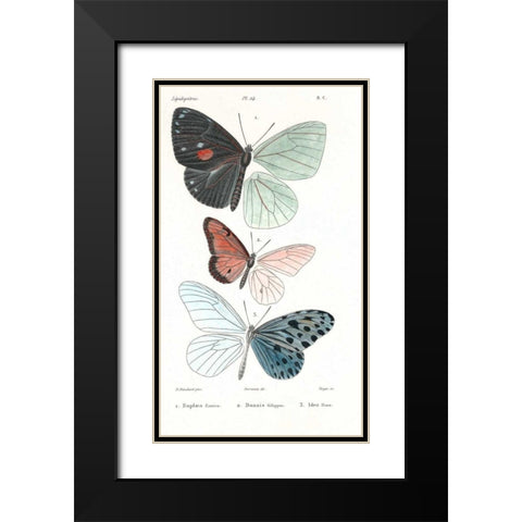 Butterflies, Plate 24 Black Modern Wood Framed Art Print with Double Matting by Blanchard, Emile