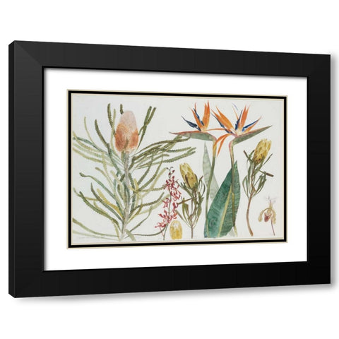 Strelizia, Banksia and Orchids Black Modern Wood Framed Art Print with Double Matting by Blackadder, Elizabeth