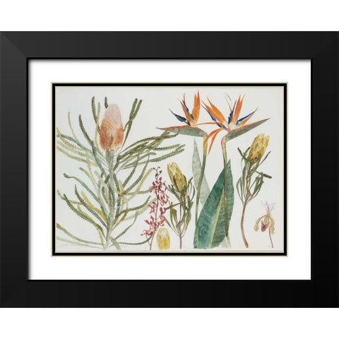 Strelizia, Banksia and Orchids Black Modern Wood Framed Art Print with Double Matting by Blackadder, Elizabeth