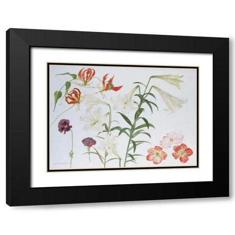 Lilies and Begonias Black Modern Wood Framed Art Print with Double Matting by Blackadder, Elizabeth