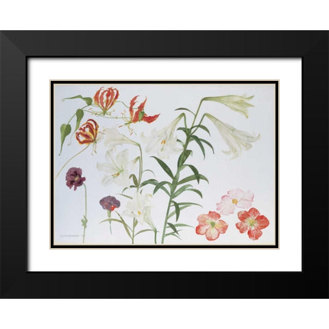 Lilies and Begonias Black Modern Wood Framed Art Print with Double Matting by Blackadder, Elizabeth