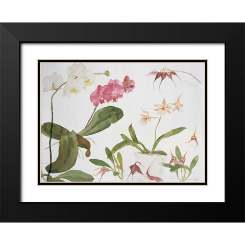 Orchid Studies Black Modern Wood Framed Art Print with Double Matting by Blackadder, Elizabeth