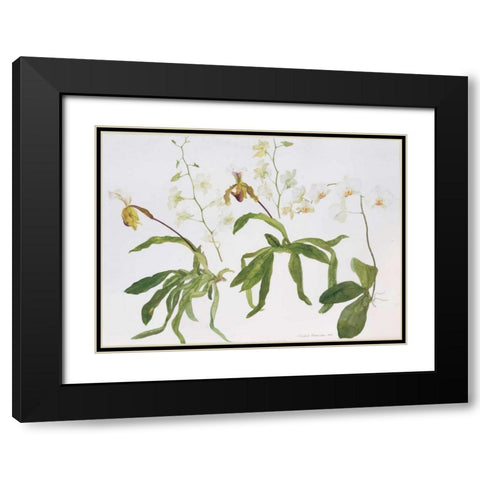Orchids, Paphiopedilum and Dendrobium Black Modern Wood Framed Art Print with Double Matting by Blackadder, Elizabeth