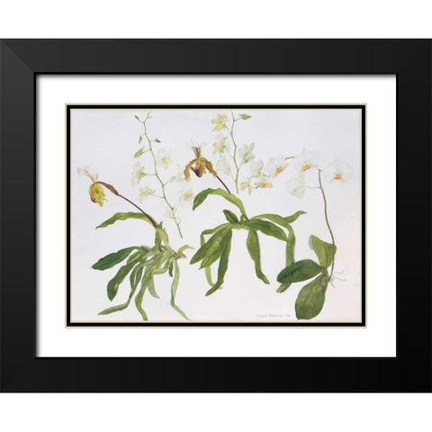 Orchids, Paphiopedilum and Dendrobium Black Modern Wood Framed Art Print with Double Matting by Blackadder, Elizabeth