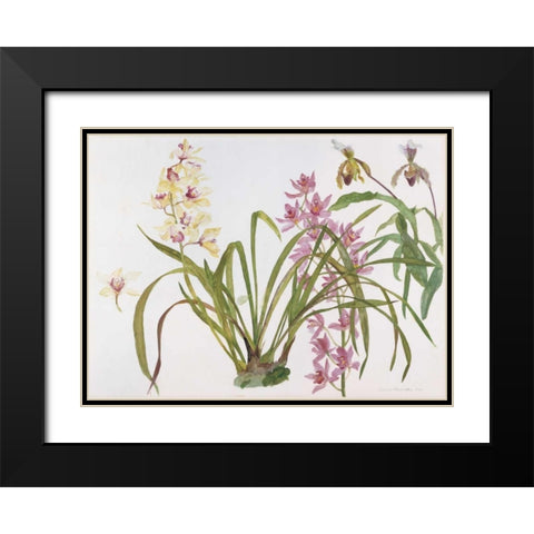 Orchids, Paphiopedilum and Cymbidium Black Modern Wood Framed Art Print with Double Matting by Blackadder, Elizabeth