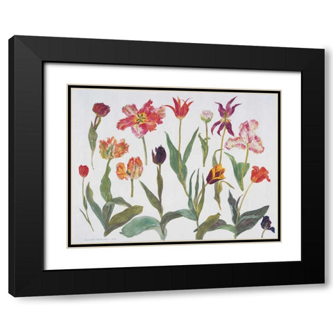 Tulips Black Modern Wood Framed Art Print with Double Matting by Blackadder, Elizabeth