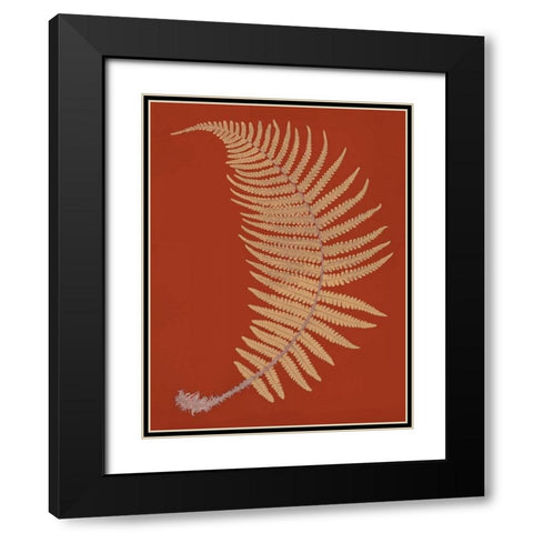 Male Fern Black Modern Wood Framed Art Print with Double Matting by Heath, Francis George