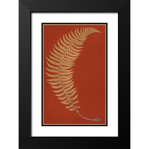 Hard Prickly Shied Fern Black Modern Wood Framed Art Print with Double Matting by Heath, Francis George