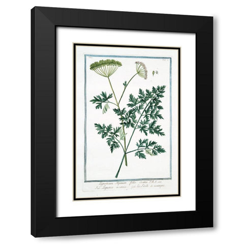 Cow Parsley 1 Black Modern Wood Framed Art Print with Double Matting by Bonelli, Giorgio