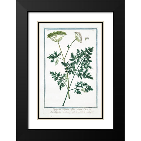 Cow Parsley 1 Black Modern Wood Framed Art Print with Double Matting by Bonelli, Giorgio