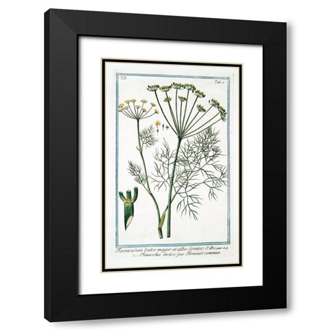 Cow Parsley 2 Black Modern Wood Framed Art Print with Double Matting by Bonelli, Giorgio