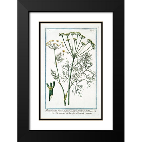 Cow Parsley 2 Black Modern Wood Framed Art Print with Double Matting by Bonelli, Giorgio