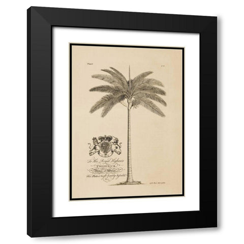King Palm Black Modern Wood Framed Art Print with Double Matting by Ehret, Georg