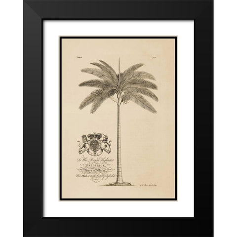 King Palm Black Modern Wood Framed Art Print with Double Matting by Ehret, Georg