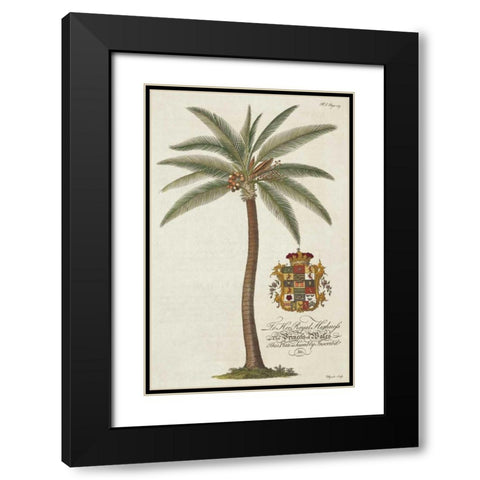 Coconut Palm Black Modern Wood Framed Art Print with Double Matting by Ehret, Georg