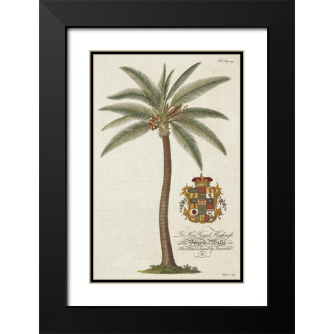Coconut Palm Black Modern Wood Framed Art Print with Double Matting by Ehret, Georg