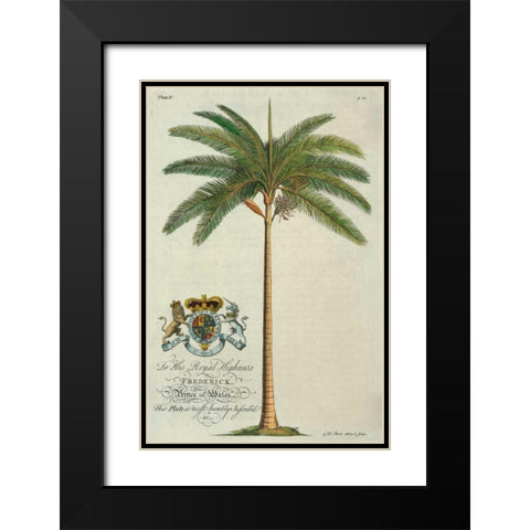 King Palm Black Modern Wood Framed Art Print with Double Matting by Ehret, Georg