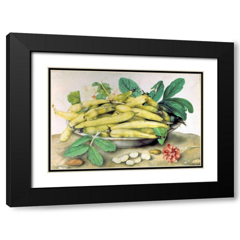 Dish of Broad Beans Black Modern Wood Framed Art Print with Double Matting by Garzoni, Giovanna