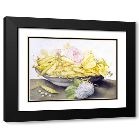 Bowl with Peas Black Modern Wood Framed Art Print with Double Matting by Garzoni, Giovanna