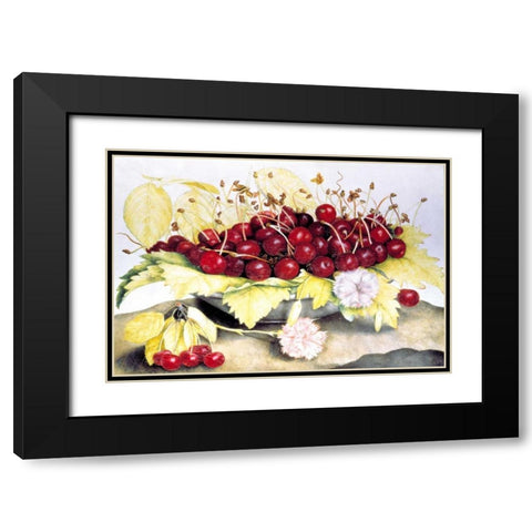 Dish of Cherries and Carnation Black Modern Wood Framed Art Print with Double Matting by Garzoni, Giovanna