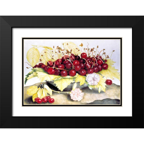 Dish of Cherries and Carnation Black Modern Wood Framed Art Print with Double Matting by Garzoni, Giovanna