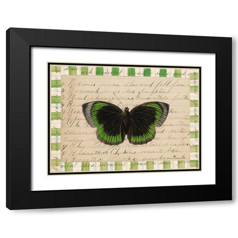 Butterfly Collage, Hiawatha Black Modern Wood Framed Art Print with Double Matting by Gould-Porter, William