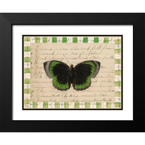 Butterfly Collage, Hiawatha Black Modern Wood Framed Art Print with Double Matting by Gould-Porter, William