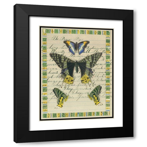 Butterfly Collage, Peace Pipe Black Modern Wood Framed Art Print with Double Matting by Gould-Porter, William
