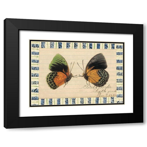 Butterfly Collage, Sixth Grade Black Modern Wood Framed Art Print with Double Matting by Gould-Porter, William