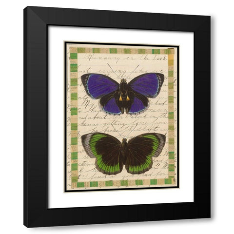Butterfly Collage, Runaway Black Modern Wood Framed Art Print with Double Matting by Gould-Porter, William