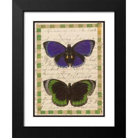 Butterfly Collage, Runaway Black Modern Wood Framed Art Print with Double Matting by Gould-Porter, William