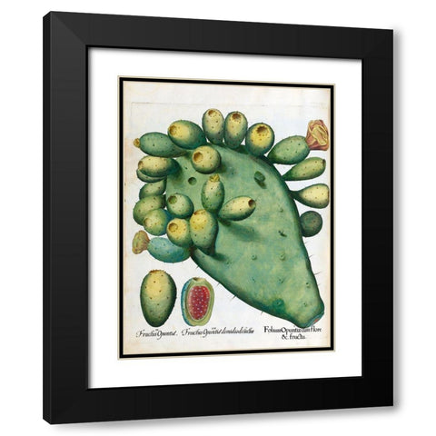 Cactus Black Modern Wood Framed Art Print with Double Matting by Besler, Basilius