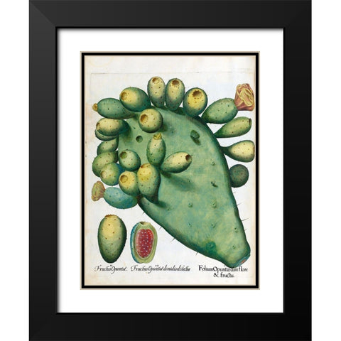 Cactus Black Modern Wood Framed Art Print with Double Matting by Besler, Basilius