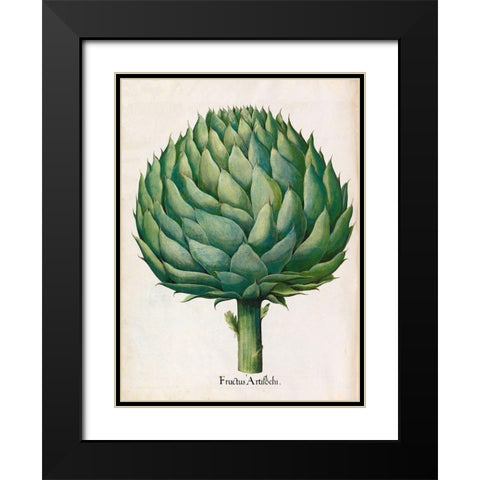 Artichoke Black Modern Wood Framed Art Print with Double Matting by Besler, Basilius