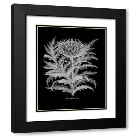 Cinera Black Modern Wood Framed Art Print with Double Matting by Besler, Basilius