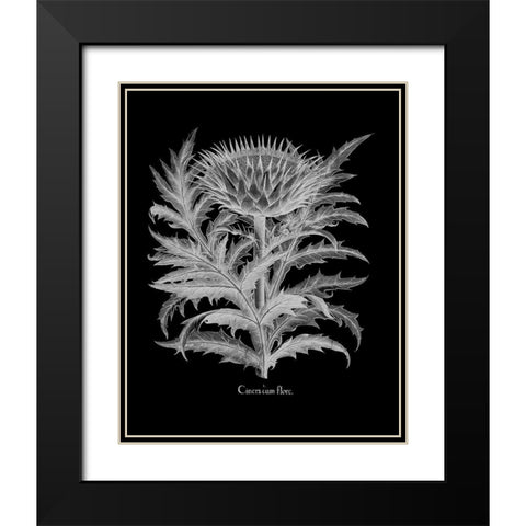 Cinera Black Modern Wood Framed Art Print with Double Matting by Besler, Basilius