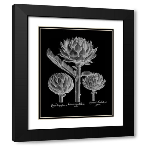 Cinera Boloni Black Modern Wood Framed Art Print with Double Matting by Besler, Basilius
