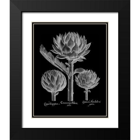 Cinera Boloni Black Modern Wood Framed Art Print with Double Matting by Besler, Basilius